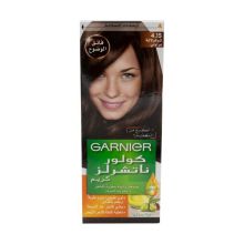 Garnier Color Naturals No. 4.15 - Brownie Chocolate Hair Color
