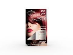 IL Salone Color Protection Shampoo & Conditioner Promo Pack