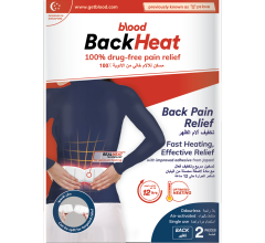 Blood PS Love Back Heat Back Pain Relief 2 Patches